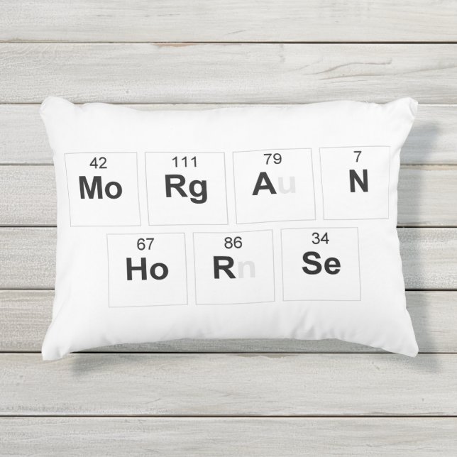 Coussin de cheval de Morgan (Devant)