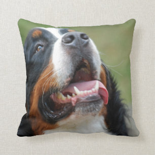 Coussin de chien de Berner Sennenhund