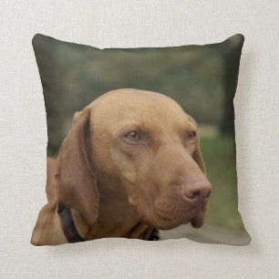 Coussin de chien de Rhodesian Ridgeback