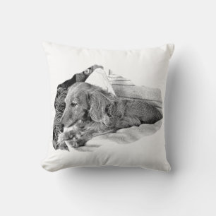 Coussin de chien hollandais au repos – Art canin m
