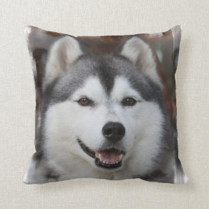 Coussin de chien Husky