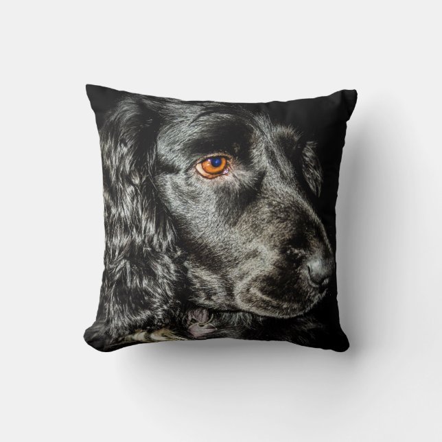 Coussin de chien noir (Recto)
