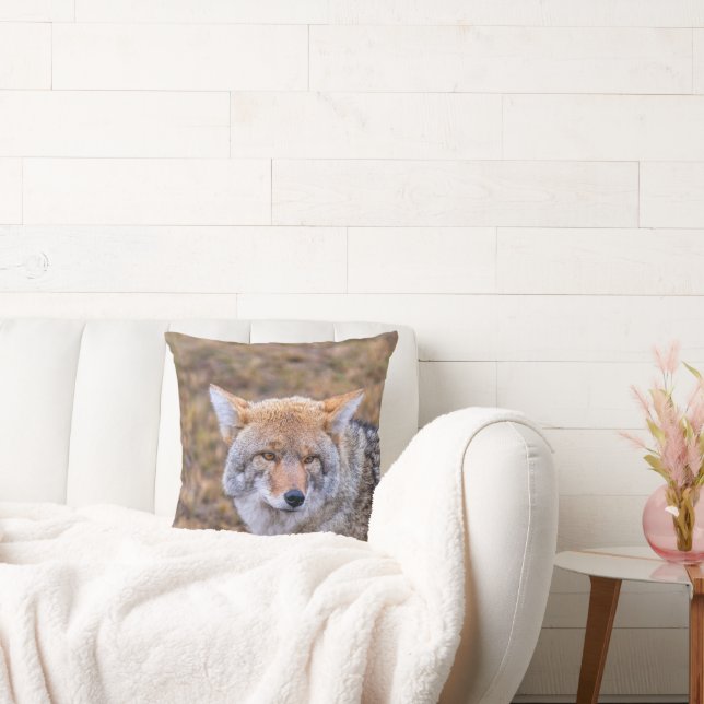 Coussin de Chien sauvage de Coyote (Canapé)