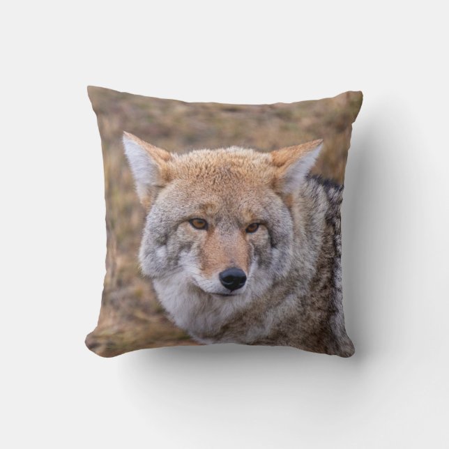Coussin de Chien sauvage de Coyote (Recto)