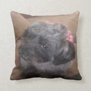 coussin de chiot