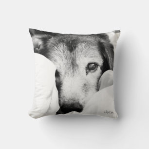 coussin de chiot à chien endormi noir blanc