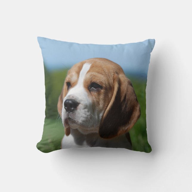 Coussin de chiot de beagle (Recto)