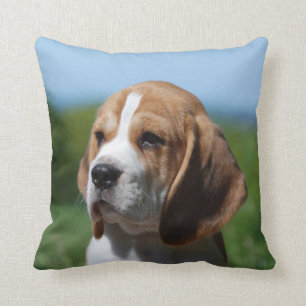 Coussin de chiot de beagle