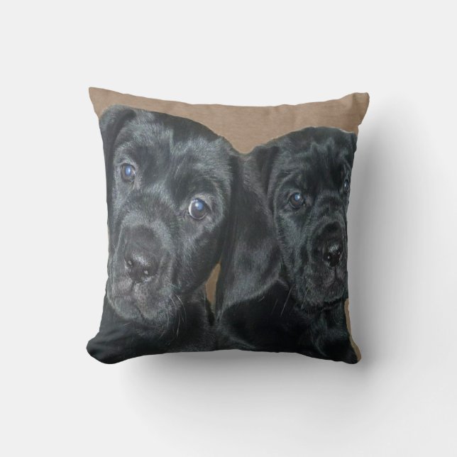 Coussin de chiots de Mastador (Recto)