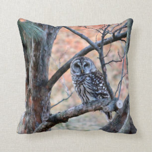 Coussin de Chouette barrée