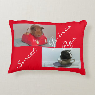 Coussin de cobaye