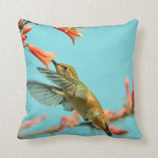 Coussin de colibri