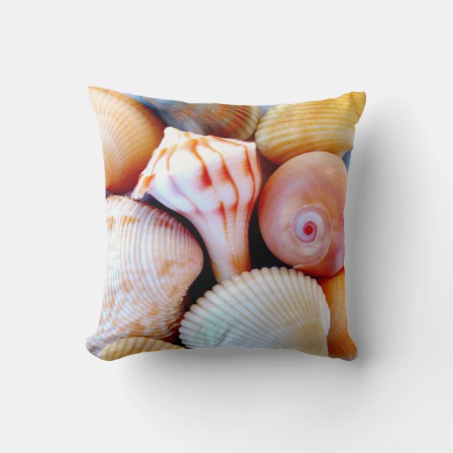 Coussin de collection de coquillage (Recto)