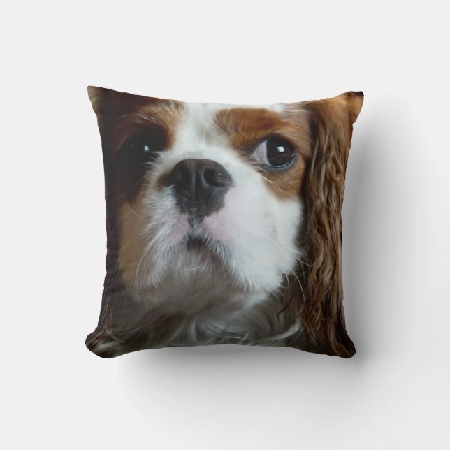 coussin de coussin Cavalier King Charles Spaniel (Recto)