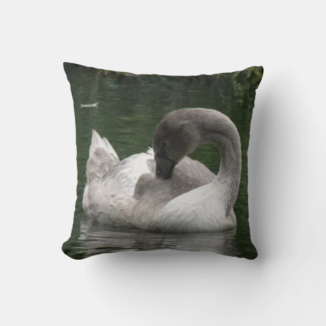 Coussin de cygne endormi (Recto)