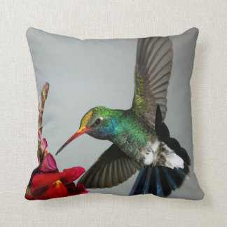 Coussin de décor de ressort de colibri