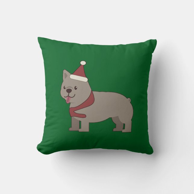 Coussin de décoration (Recto)