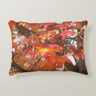 Coussin de Firey Sweetgum