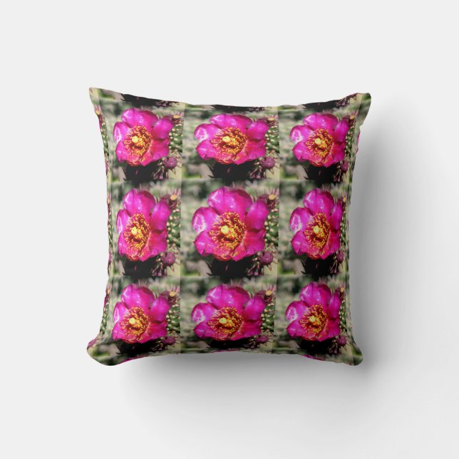 Coussin de fleur de Cactus (Recto)