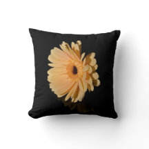 Coussin de fleur de chrysanthème pêche