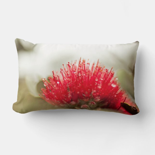 Coussin de fleur d'Ohia Lehua (Recto)