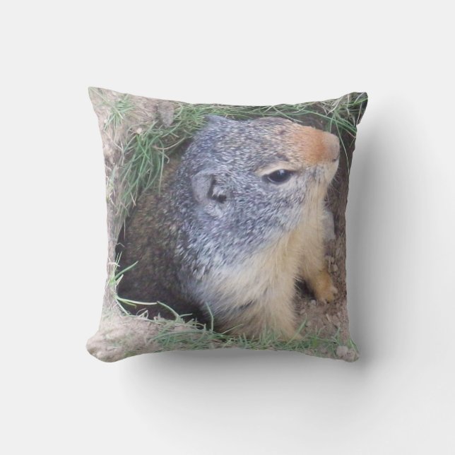 Coussin de Groundhog (Recto)