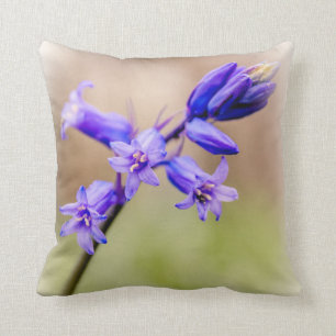Coussin de jacinthe des bois
