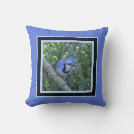 Coussin de Jay bleu, encadré en bleu foncé et bleu