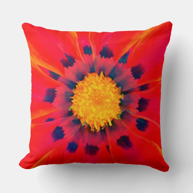 Coussin de jet (Recto)