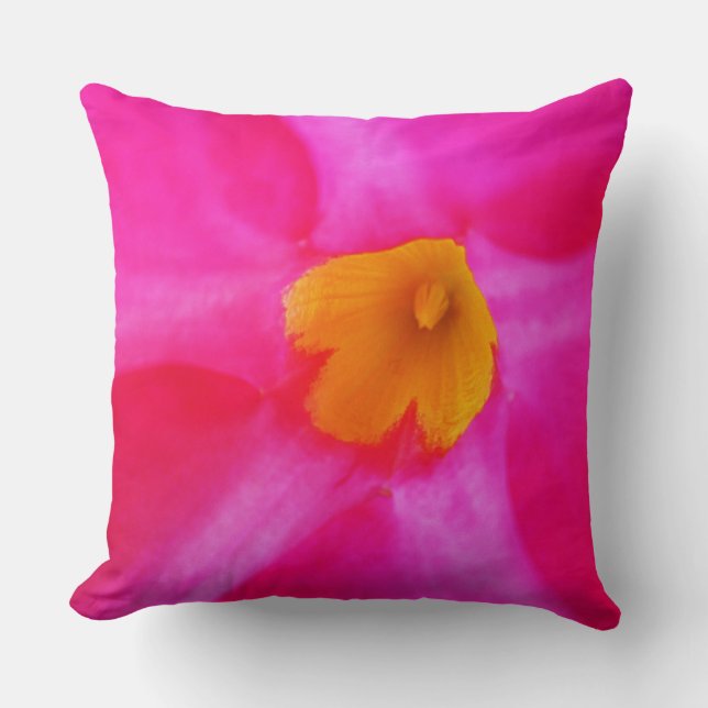 Coussin de jet (Recto)
