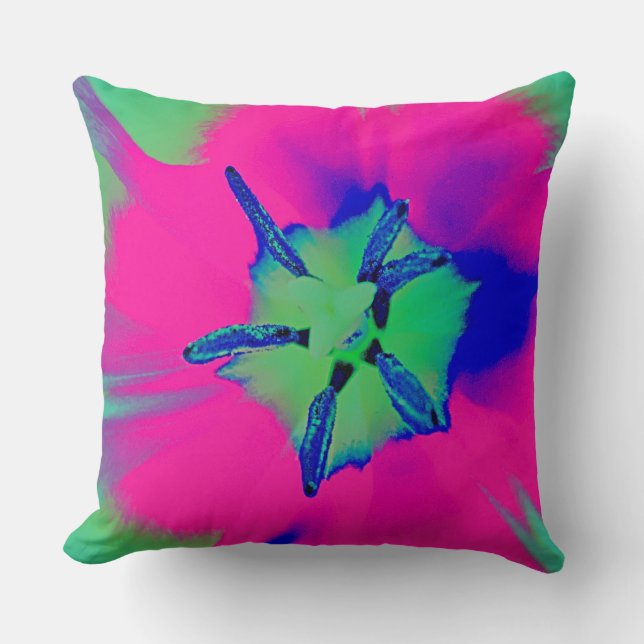 Coussin de jet (Recto)