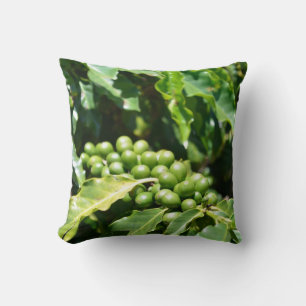 Coussin de jet de baies de café vert
