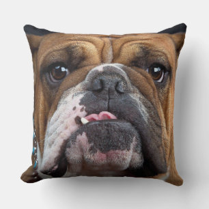 Coussin de jet de Bouledogue Anglais