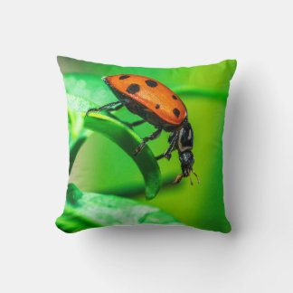 Coussin de jet macro coccinelle décoration d'inspi
