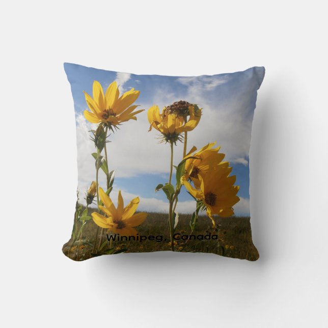 Coussin de jet Prairie Sunset (Recto)