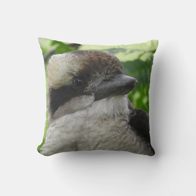Coussin de Kookaburra (Recto)