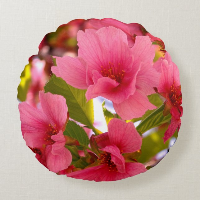 coussin de lancer de beauté de ressort 41 cm (Devant)