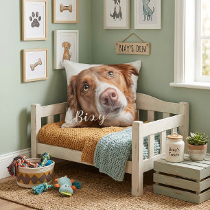 Coussin de lancer pour animaux de compagnie meille