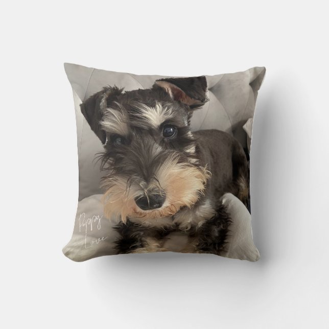 Coussin de lancer Schnauzer (Recto)
