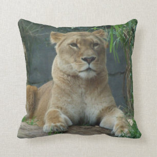 Coussin de lionne