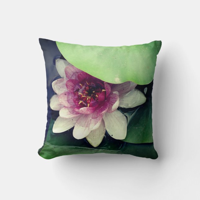 Coussin de Lotus rose (Recto)