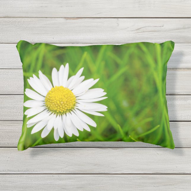 Coussin de marguerite (Devant)