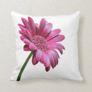 Coussin de marguerite de Gerbera