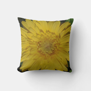 coussin de marguerite gerbeuse jaune presque solid