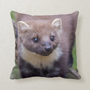 Coussin de Marty