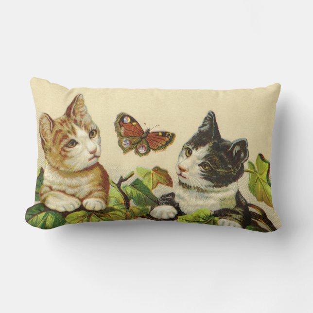 Coussin de MoJo d'Américain de chatons (Recto)