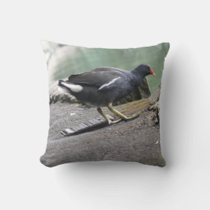 Coussin de Moorhen