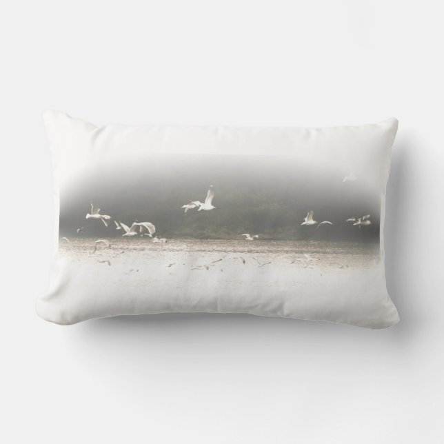 Coussin de mouette (Recto)