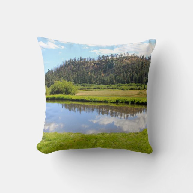 Coussin de nature (Recto)