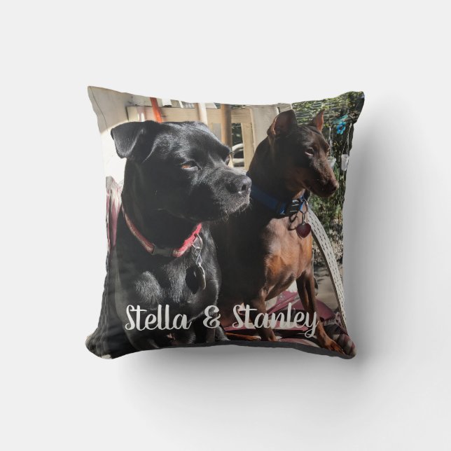 Coussin de noms d'animal domestique indiquant (Recto)